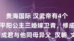 贵海国际 汉武帝有4个同母姐姐，平阳公主三婚嫁卫青，修成君与他同母异父_汉朝_丈夫_卫子夫