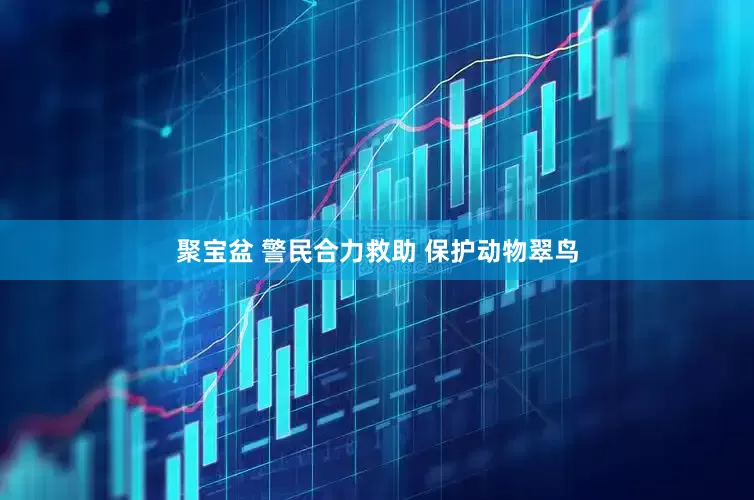 聚宝盆 警民合力救助 保护动物翠鸟