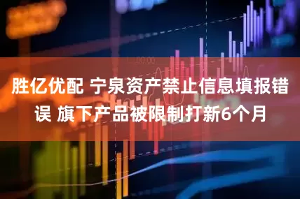 胜亿优配 宁泉资产禁止信息填报错误 旗下产品被限制打新6个月