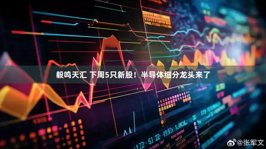 毅鸣天汇 下周5只新股！半导体细分龙头来了