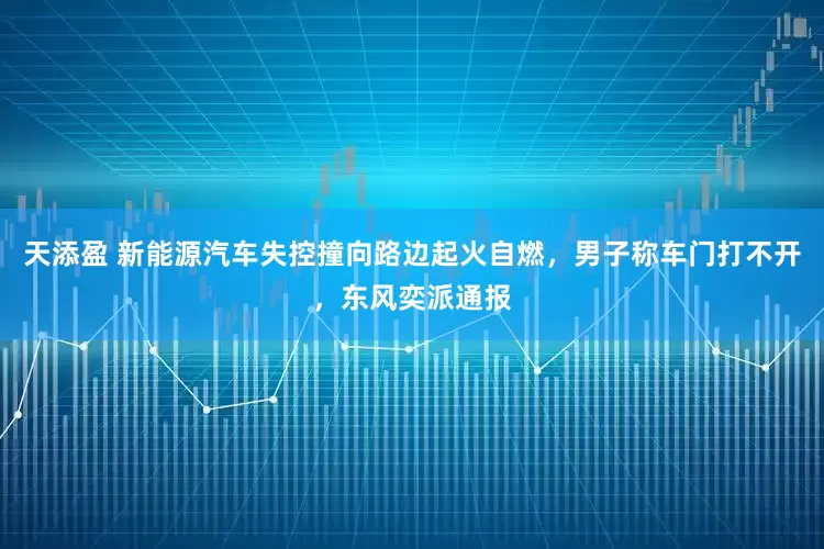 天添盈 新能源汽车失控撞向路边起火自燃，男子称车门打不开，东风奕派通报