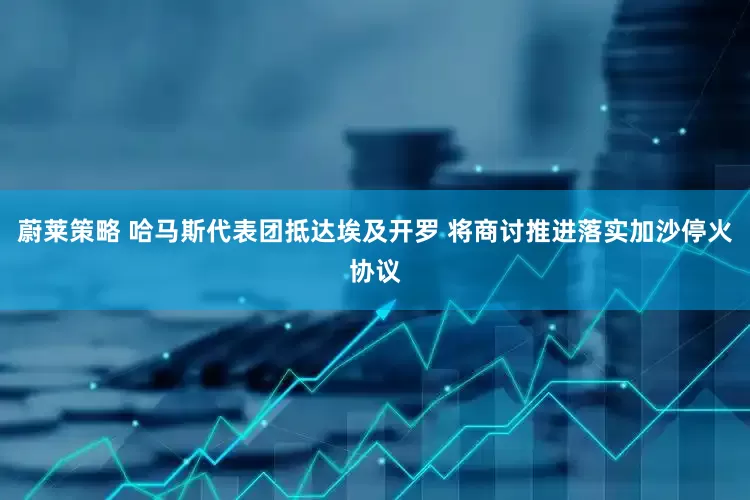 蔚莱策略 哈马斯代表团抵达埃及开罗 将商讨推进落实加沙停火协议