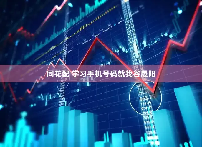 同花配 学习手机号码就找谷晟阳