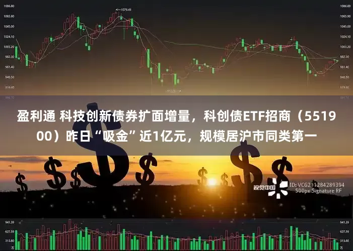 盈利通 科技创新债券扩面增量,科创债ETF招商(551900)昨日“吸金”近1亿元,规模居沪市同类第一