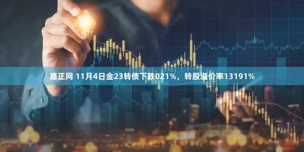 嘉正网 11月4日金23转债下跌021%，转股溢价率13191%