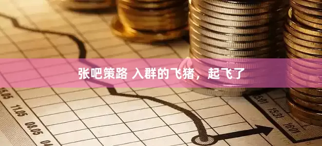 张吧策路 入群的飞猪，起飞了
